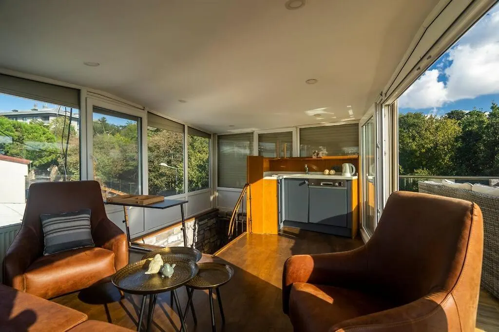 Ortakoy Modern & Luxury House With Bosporus View Apartment Istanbul Turkey